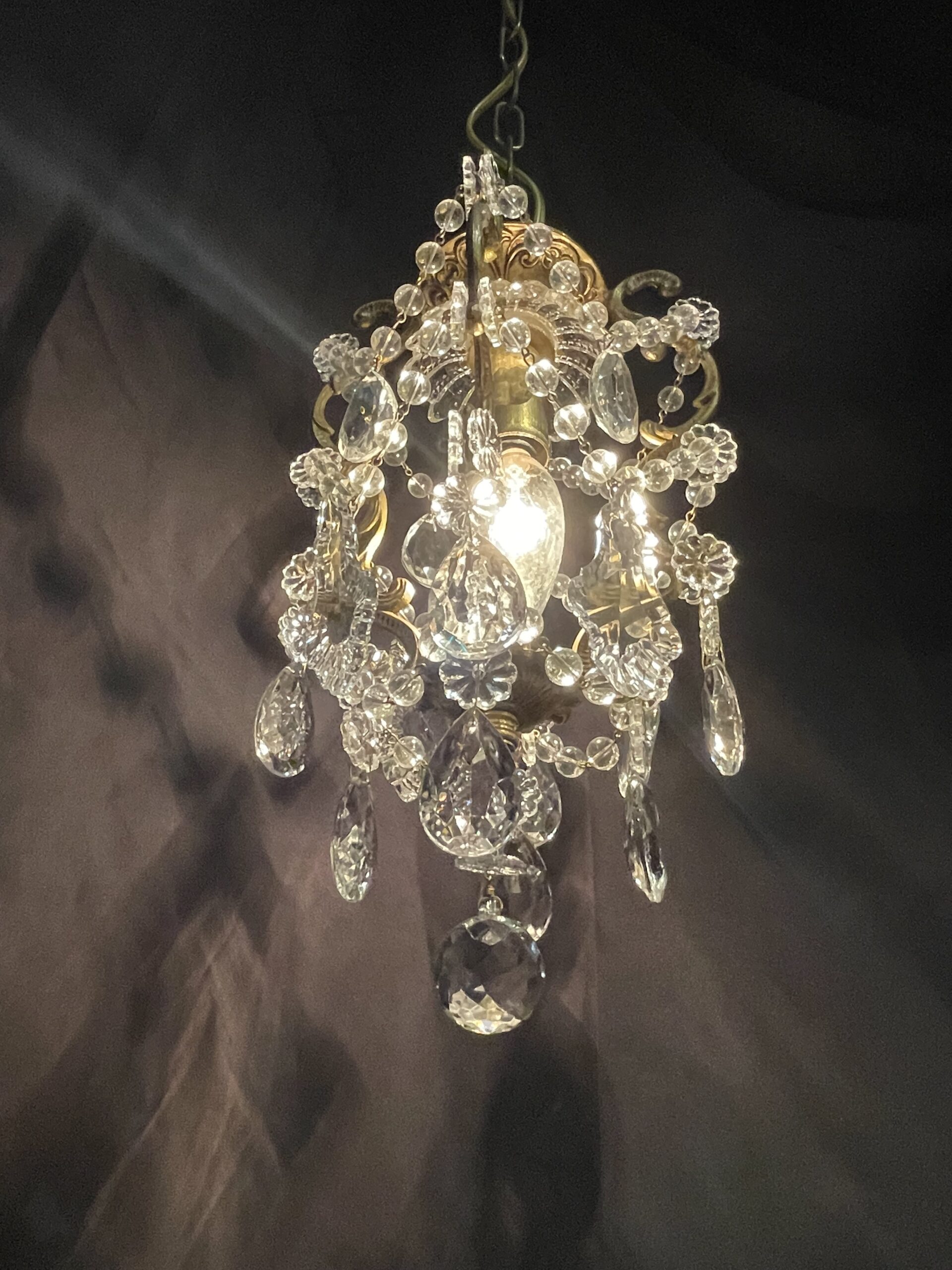 French brass chandelier 1灯 / フレンチ ブラス シャンデリア 1灯 - 画像 (4)