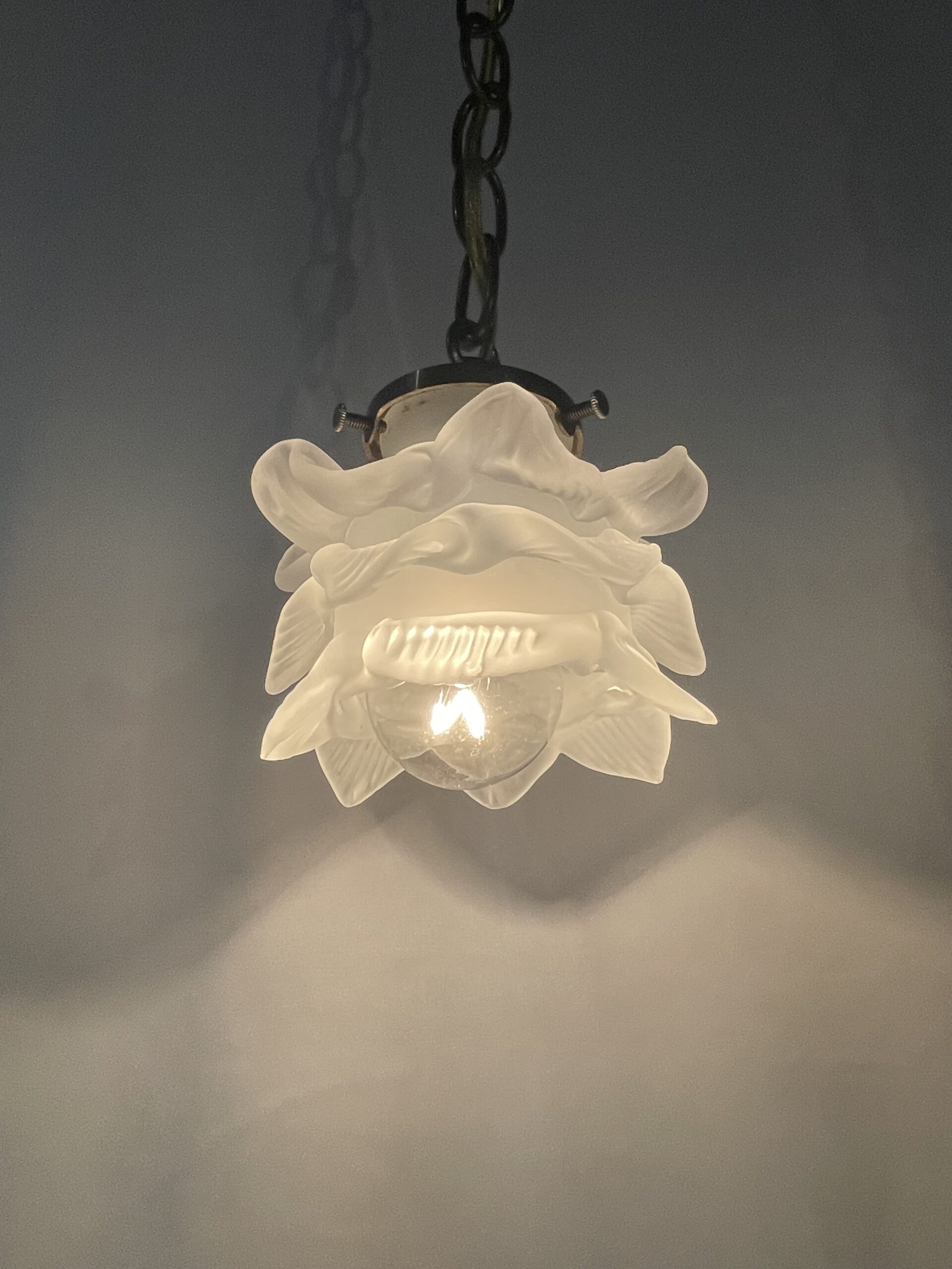 French glass shade lamp 1灯 / フレンチガラスシェードランプ 1灯 - 画像 (2)