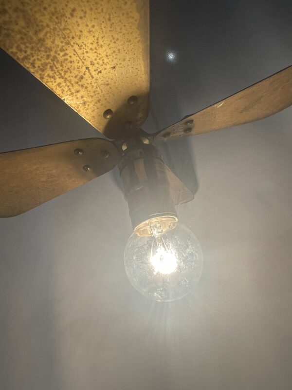 Brass propeller pendant lamp 1灯 / ブラスプロペラ ペンダントランプ 1灯 - 画像 (3)