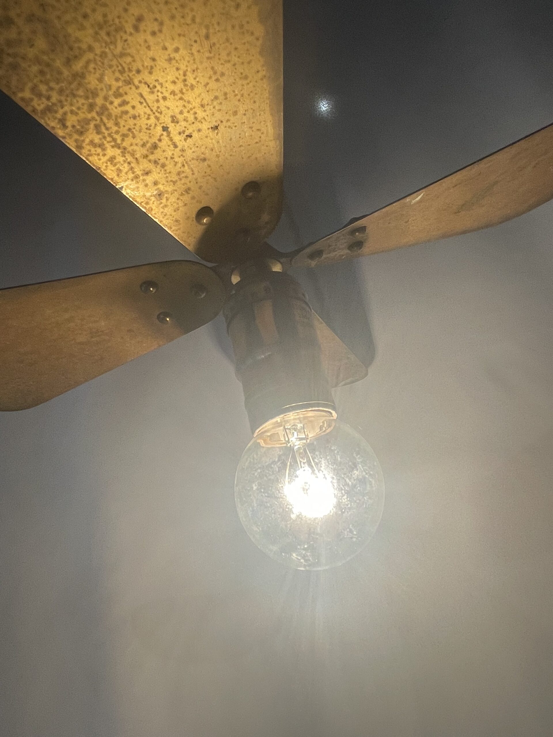 Brass propeller pendant lamp 1灯 / ブラスプロペラ ペンダントランプ 1灯 - 画像 (3)