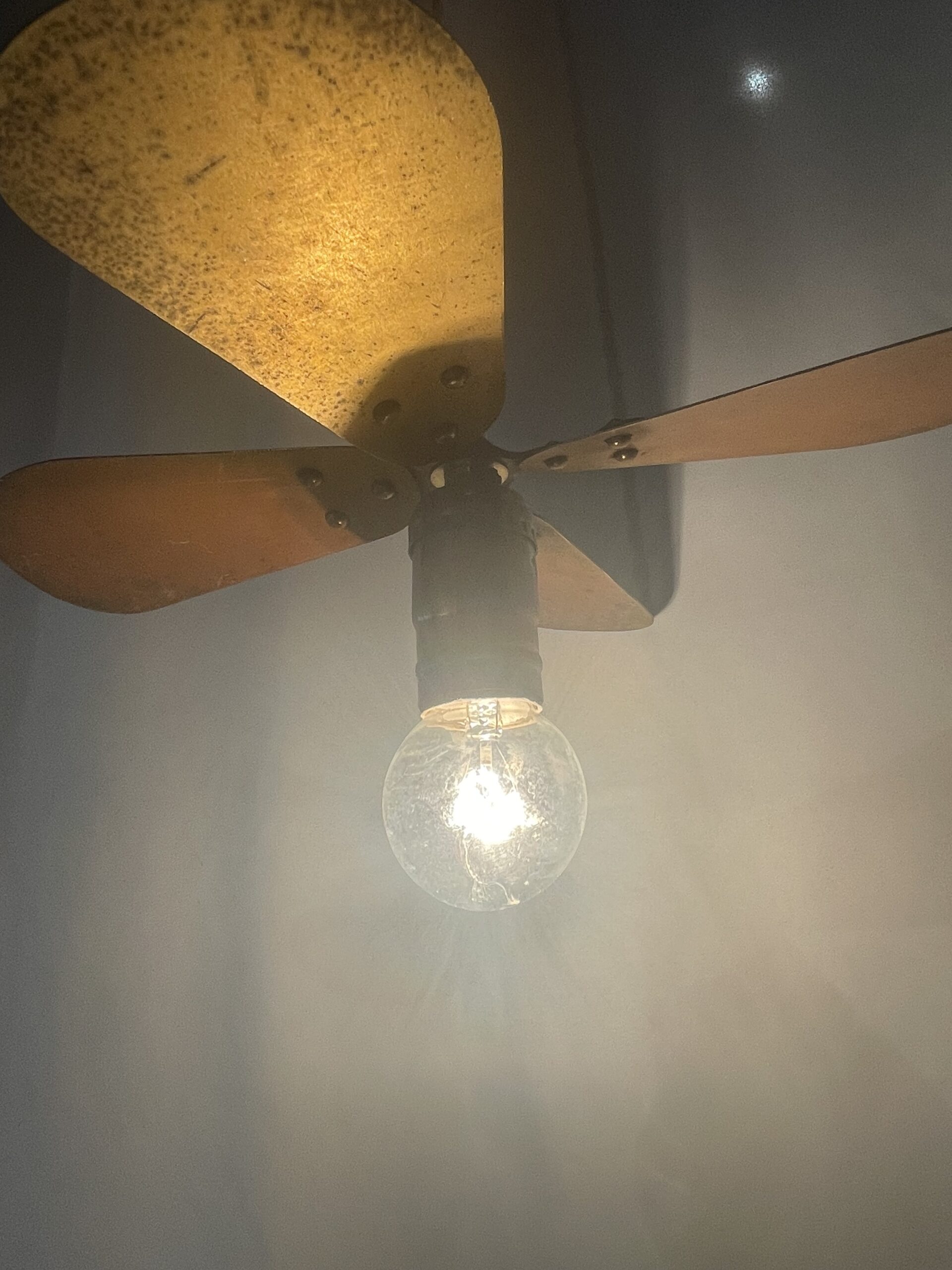 Brass propeller pendant lamp 1灯 / ブラスプロペラ ペンダントランプ 1灯 - 画像 (3)