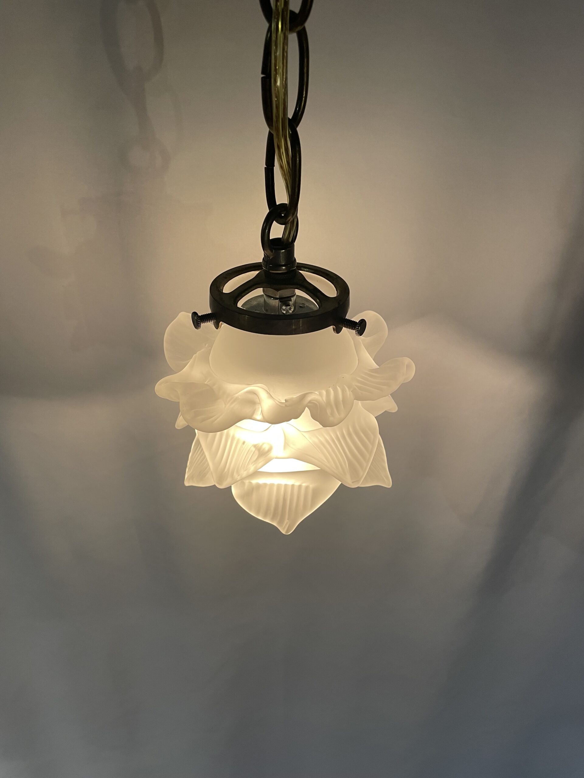 French glass shade lamp 1灯 / フレンチガラスシェードランプ 1灯 - 画像 (3)