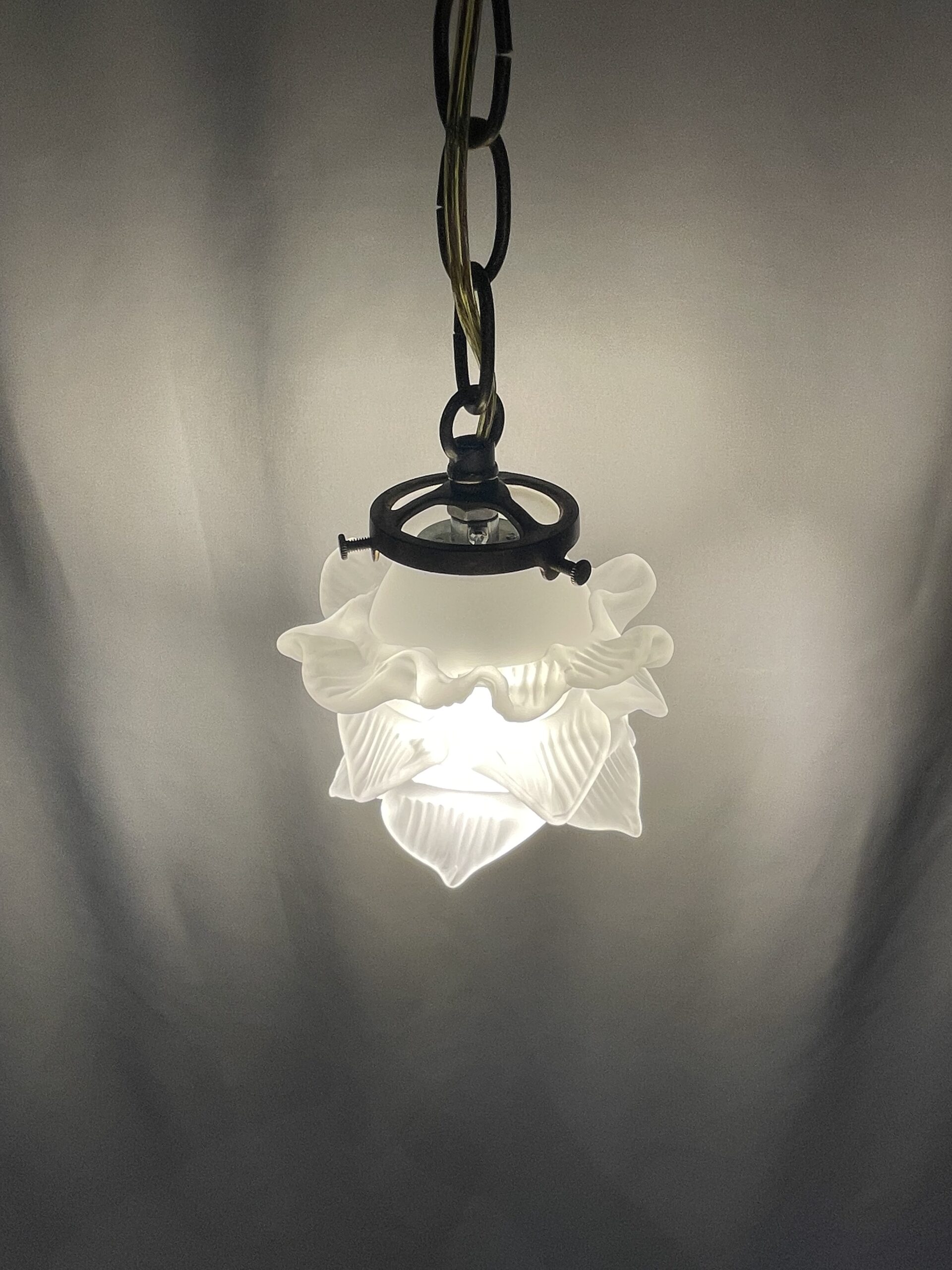 French glass shade lamp 1灯 / フレンチガラスシェードランプ 1灯 - 画像 (8)