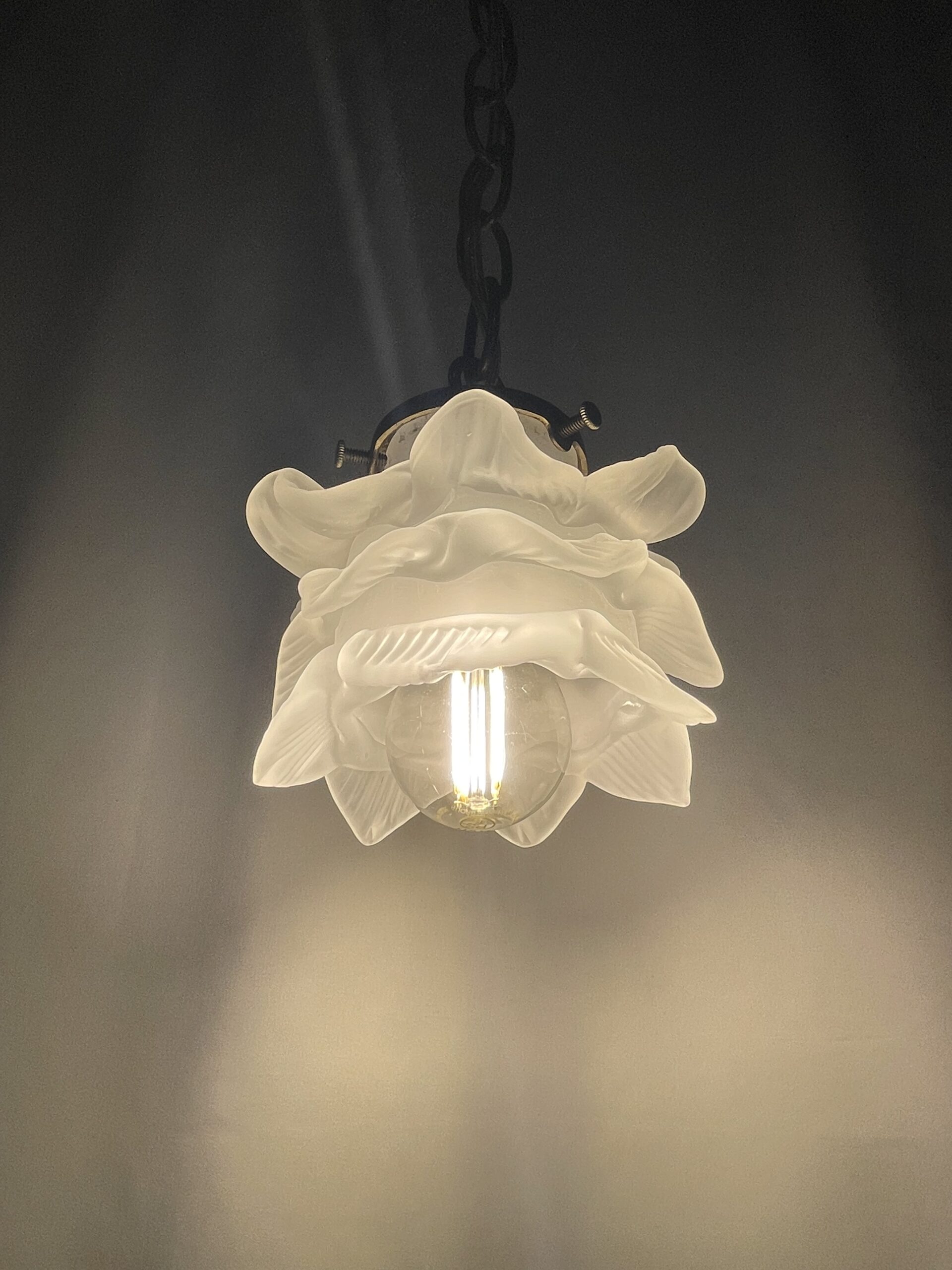 French glass shade lamp 1灯 / フレンチガラスシェードランプ 1灯 - 画像 (9)