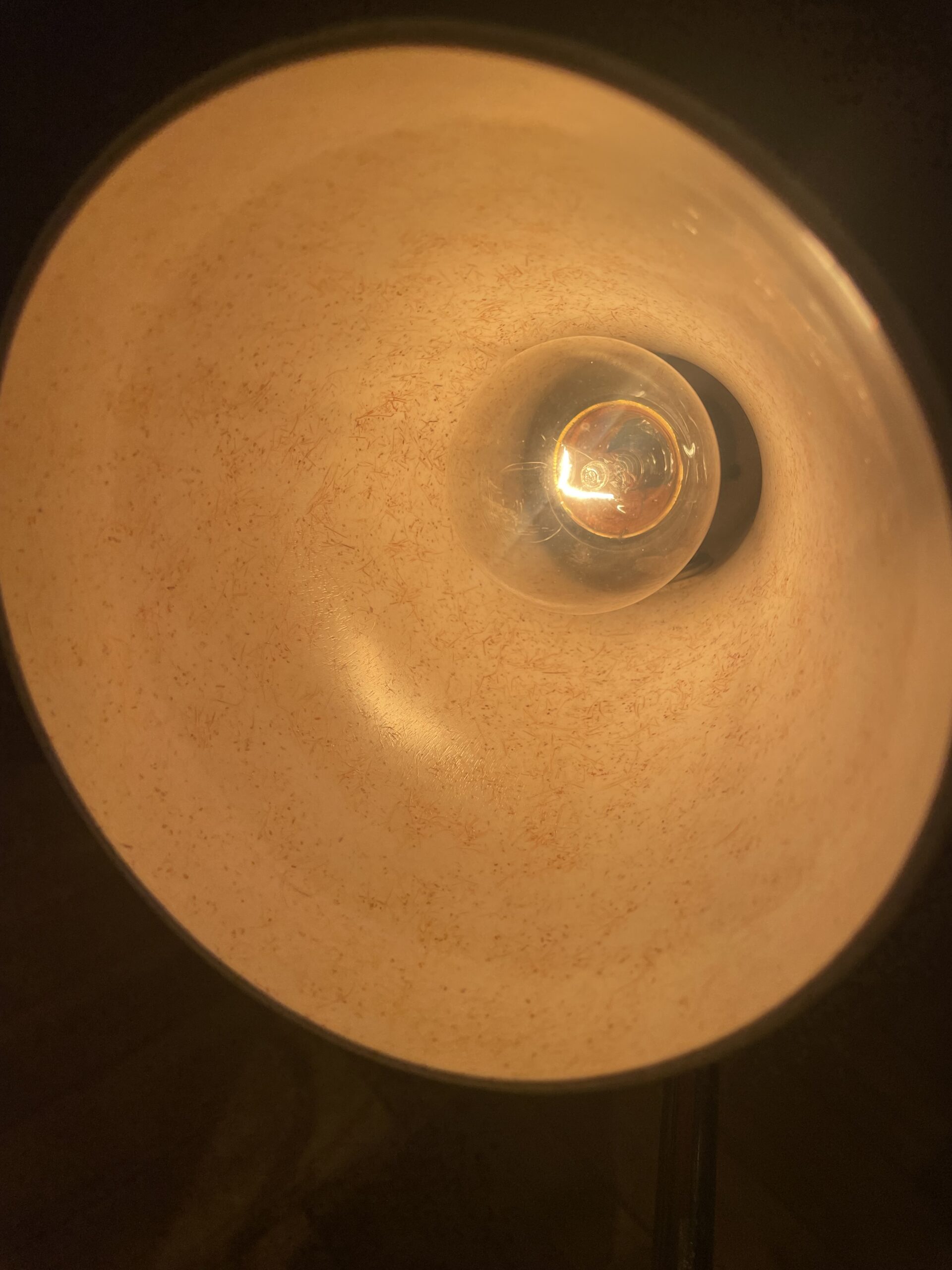 Modern table lamp 1灯 / モダン テーブルランプ 1灯 - 画像 (9)